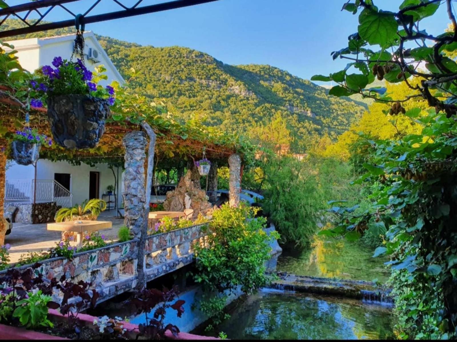 Apartments Radonjic Budva Eksteriør bilde