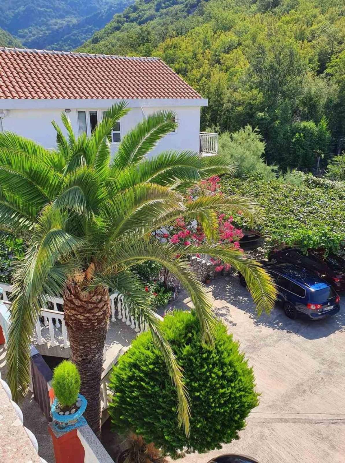 Apartments Radonjic Budva Eksteriør bilde