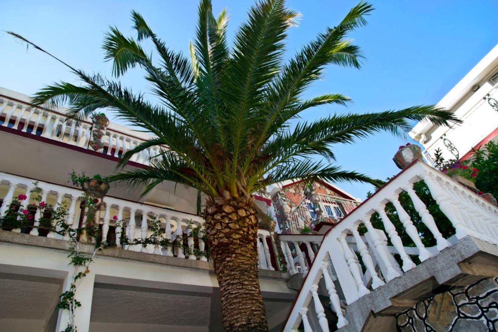 Apartments Radonjic Budva Eksteriør bilde
