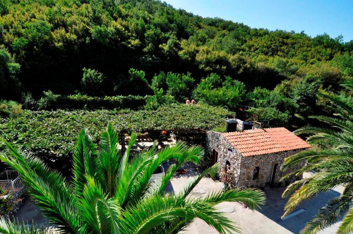 Apartments Radonjic Budva Eksteriør bilde
